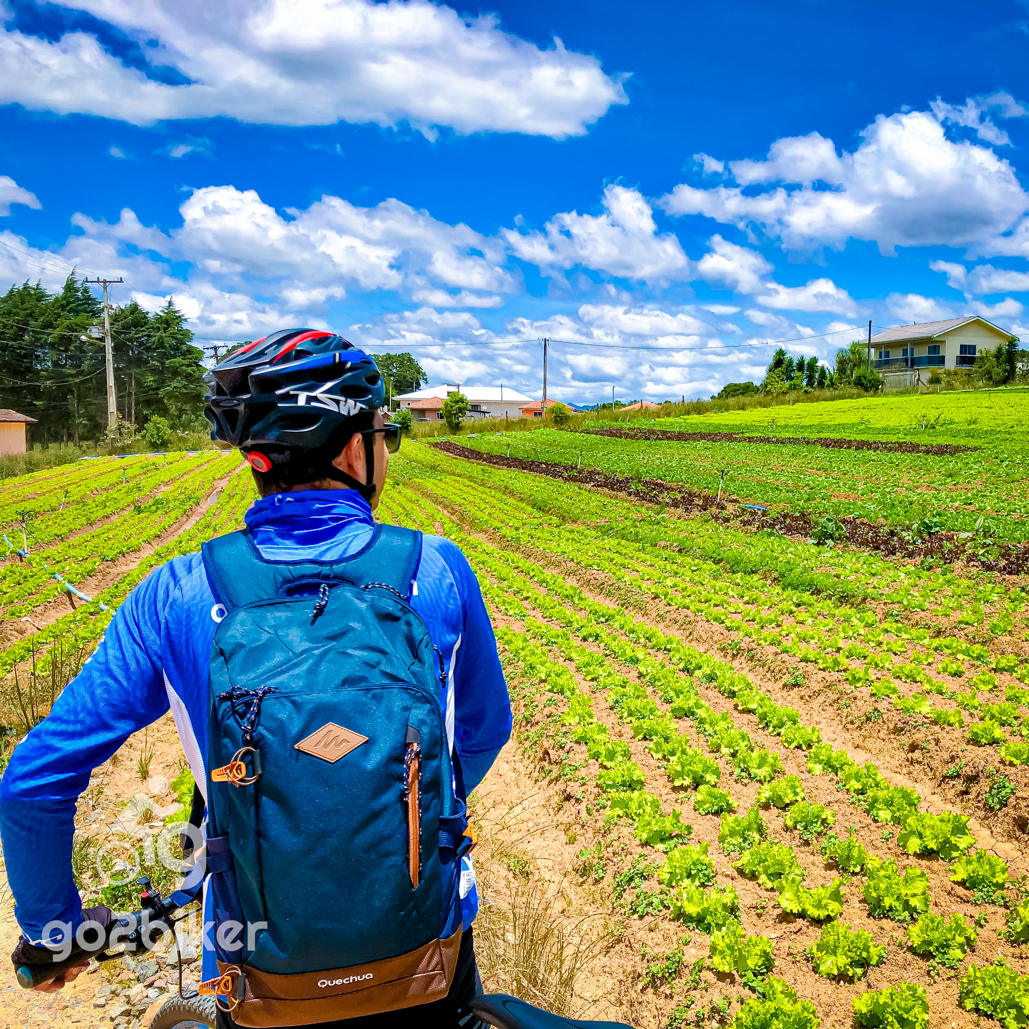 Caminho do Vinho – São José dos Pinhais – PR